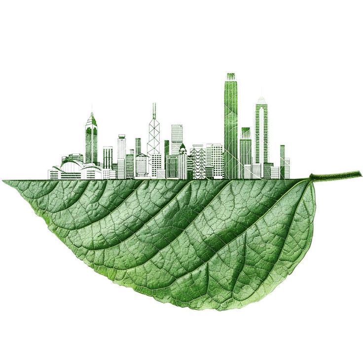 Sustainability & Climate Change Advisory